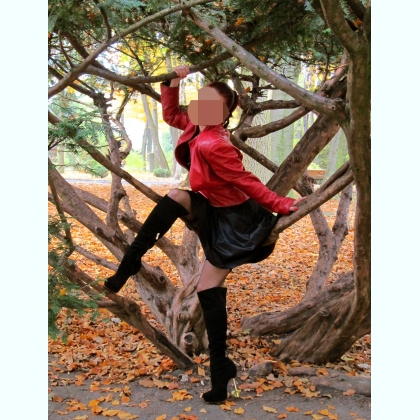 ������ ����