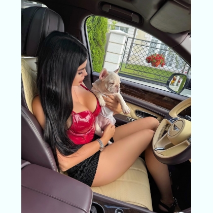 ������ ���� ��� ���� �� ���� �������